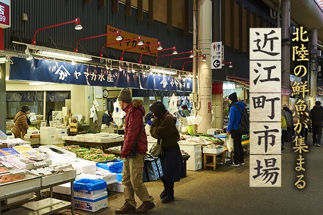 北陸の鮮魚が集まる